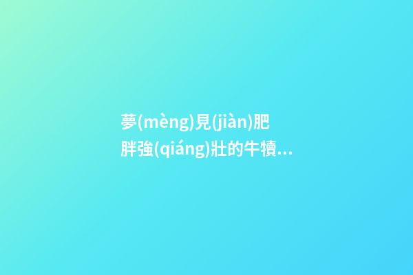 夢(mèng)見(jiàn)肥胖強(qiáng)壯的牛犢　周公解夢(mèng)之夢(mèng)到肥胖強(qiáng)壯的牛犢
